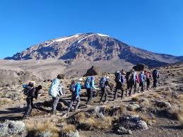 Kilimanjaro Trekking>7 Days Marangu