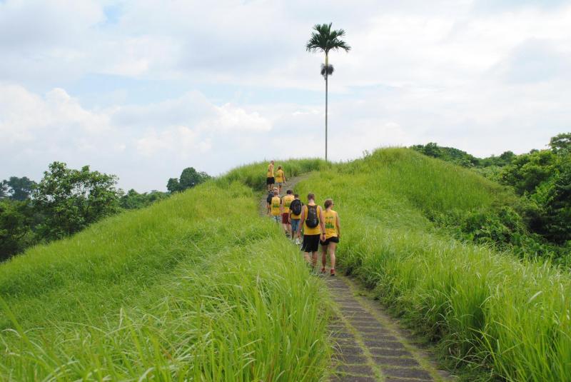 Ubud Rice Paddies Trekking Bali Rice Field Trekking Package (147698