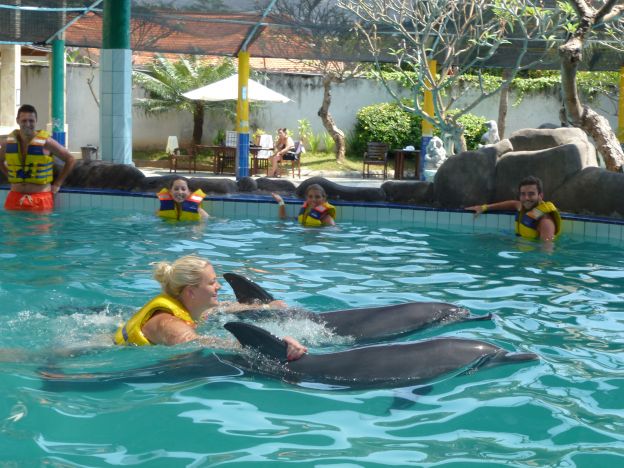 Swim With Dolphin Bali Package