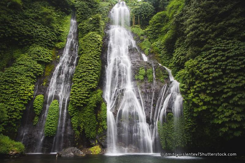 Bali Ubud and Waterfall Tour Image