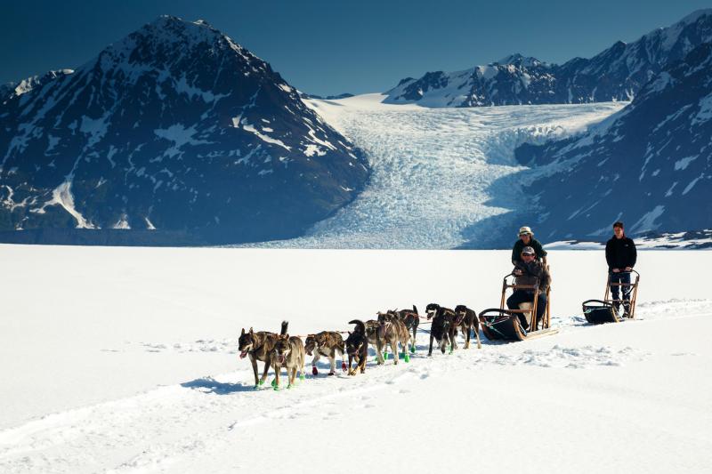 Skagway Dog Sledding & Glacier Flightseeing Helicopter Tour Package