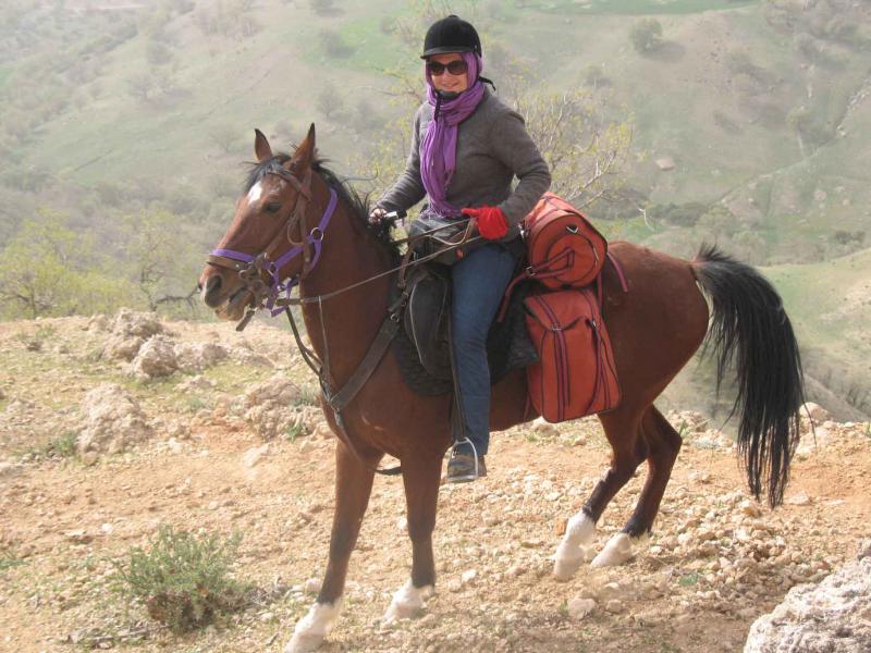 Skagway Chilkoot Horseback Adventures Package