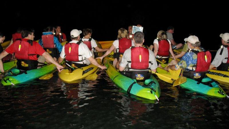 Kayak The Bioluminescent Bay