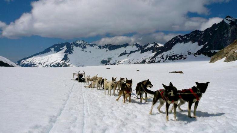 Helicopter And Dog Sled Tour