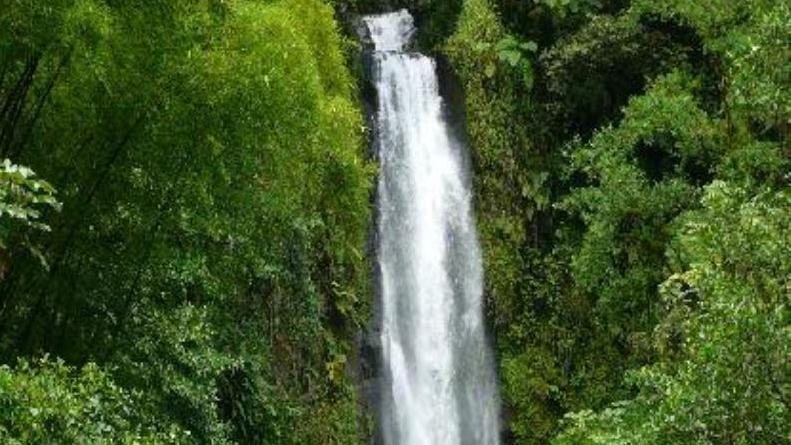 Trafalgar Falls and Emerald Pool Image