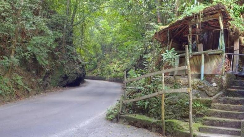 Dunn's River Falls, Fern Gully & Konoko Falls from Falmouth Tour Image