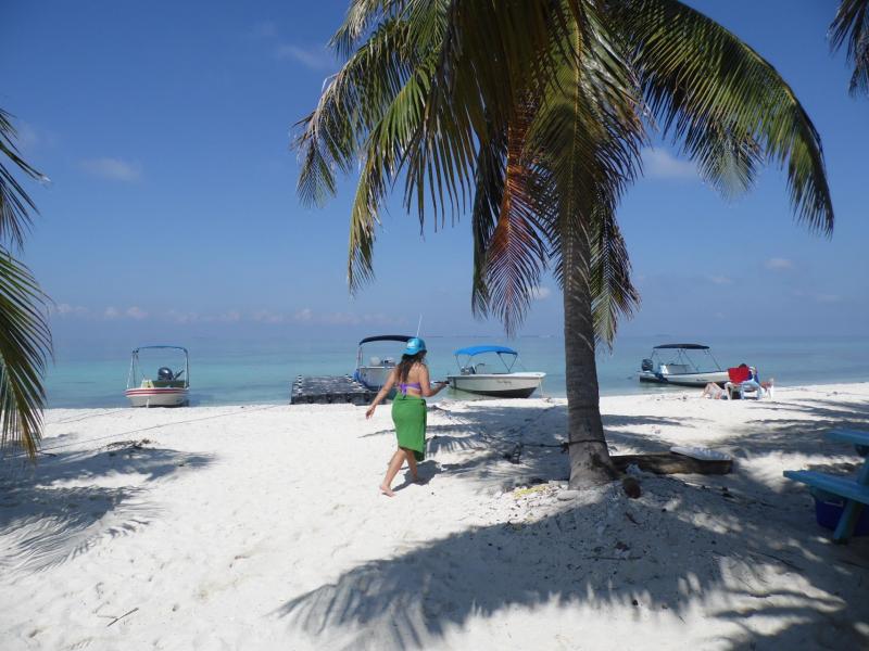 Snorkel Laughing Bird Caye
