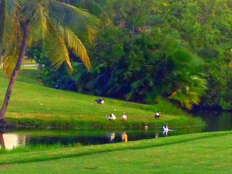 Golf Key West