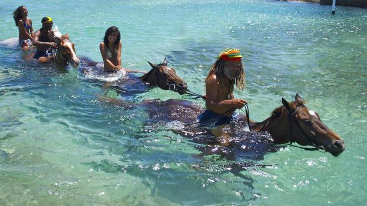 Ride & Swim Horseback Adventure From Montego Bay