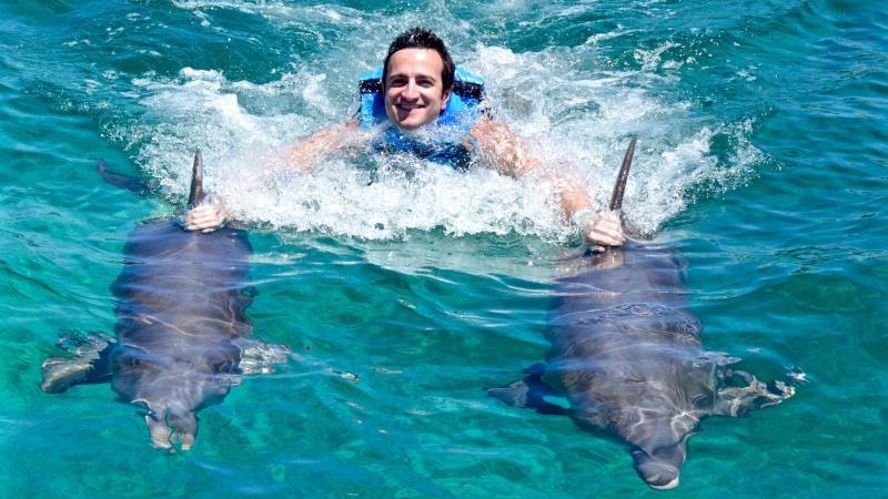 Really Royal Dolphin Swim And Beach Tour