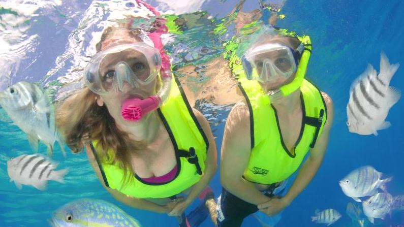 Your Own Scenic Underwater Bubble Tour