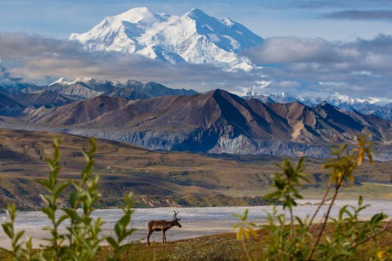 Whittier To Anchorage Bus Tour With Wildlife Park Package