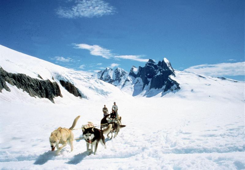 Glacier Adventure, Heli Dog Sledding, & Wildlife Package