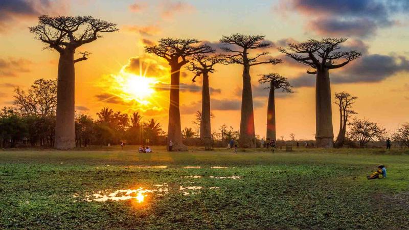 West - Discovering The Baobabs And The Tsingy Package