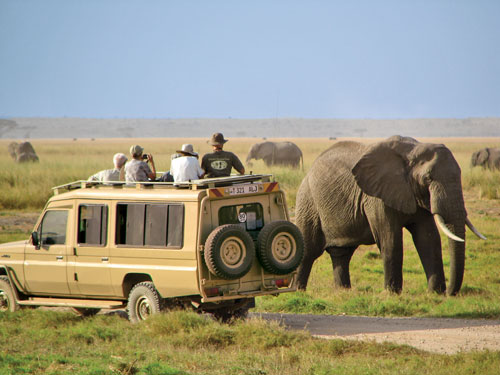 3 Days Kenya Road Safari Package From Mombasa To Tsavo East And Amboseli Package