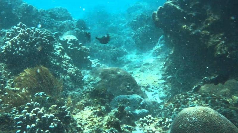 Blue Lagoon Snorkeling Tour Package