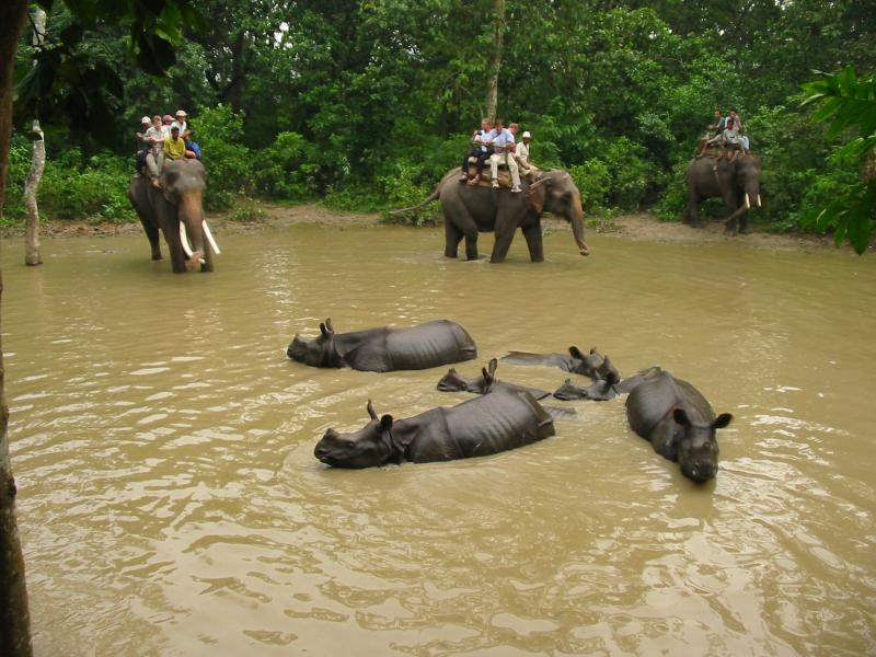 Chitwan Jungle Safari Package