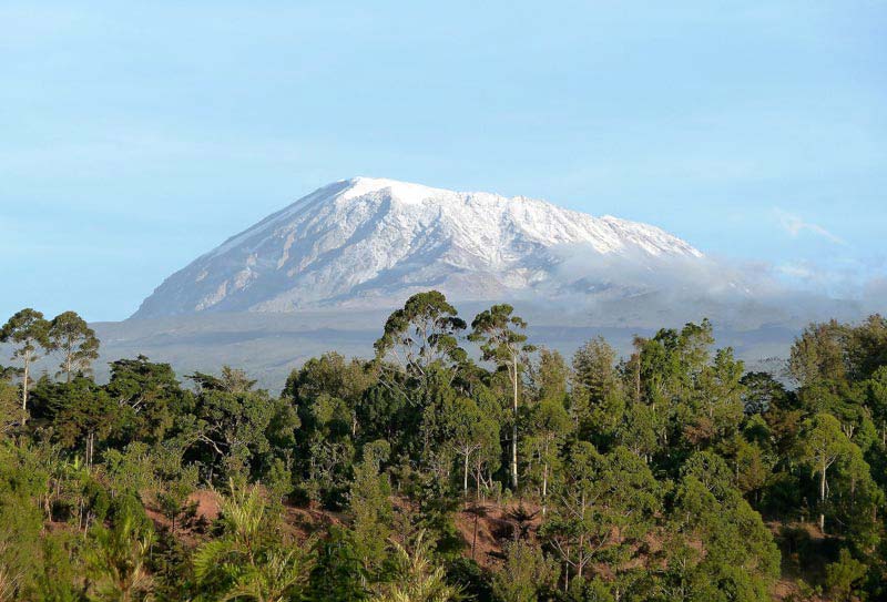 Mt. Kilimanjaro Climbing - Machame Route Tour
