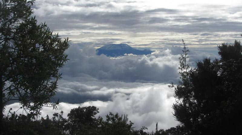 Mt. Kilimanjaro Climbing - Machame Route Tour
