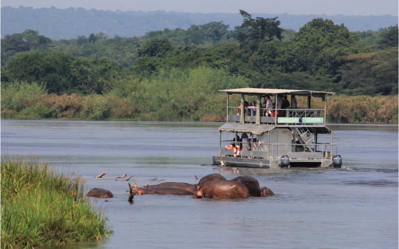 Murchison Falls National Park 3-day Uganda Safari Tour