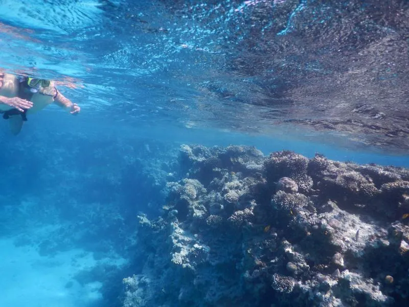 Mahmya Island Tours in Hurgada Image