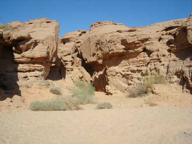 Desert Safari Tours In Marsa Alam
