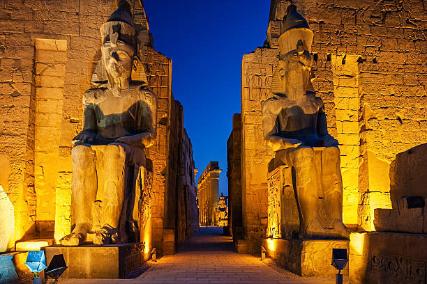 Cruise Luxor / Aswan / Luxor Without Visits New Year - Easter - Christmas Tour