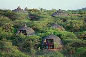 5 Days, 4 Nights Safari Tarangire, Serengeti, Ngorongoro Tour