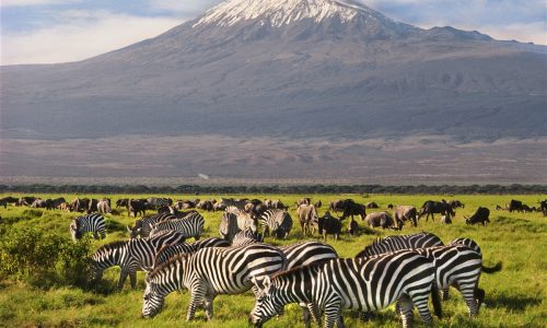 Meru National Park Tour Image