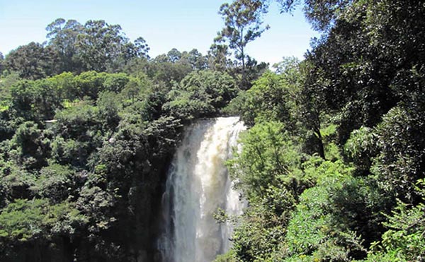 Aberdares National Park