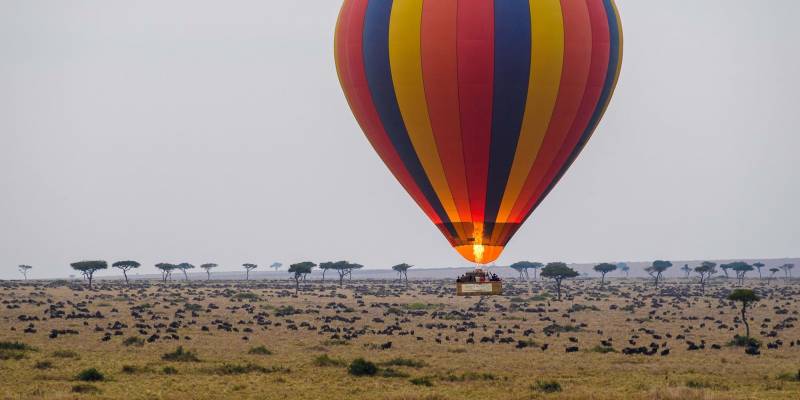 8 Days Best of Kenya Safari Adventure