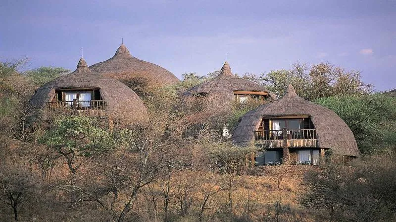 8 Days Best of Tanzania Safari Tour