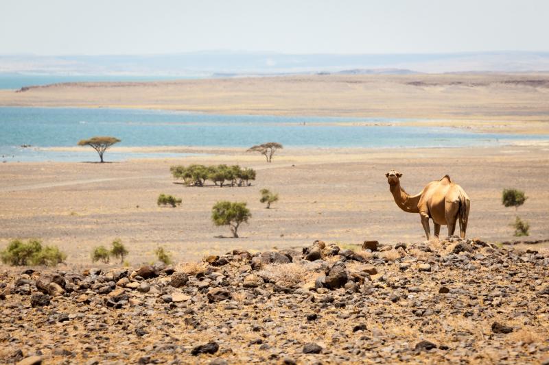 Turkana Via Chalbi Desert Tour