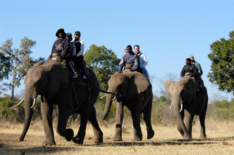 Elephant Riding Package