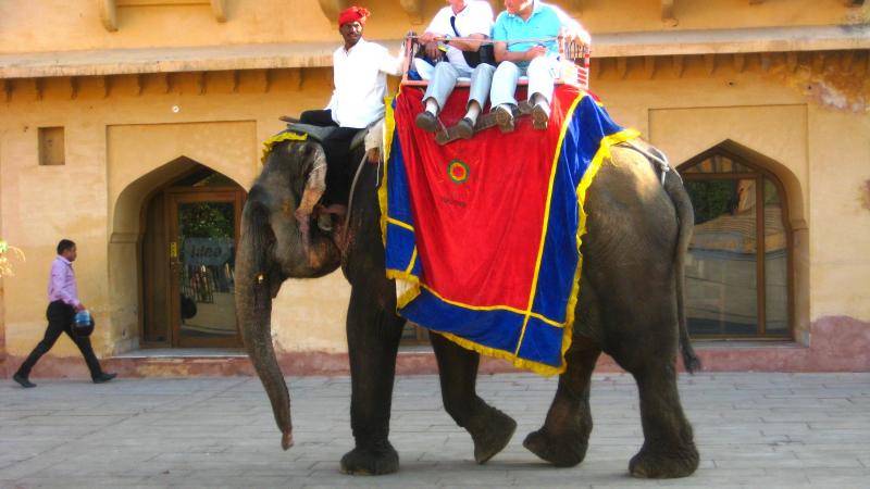 Elephant Riding Tour Package
