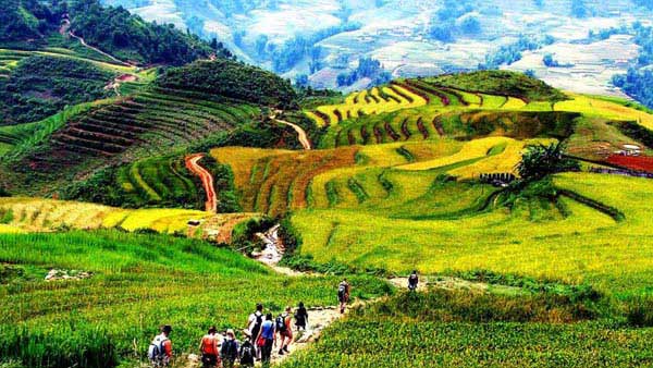 Trekking To Sapa Tour In Package