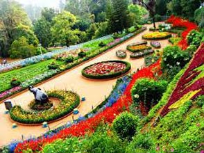 3 Night 4 Days Ooty Tour Package