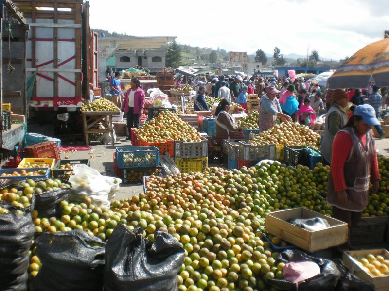 Saquisili Market Tour