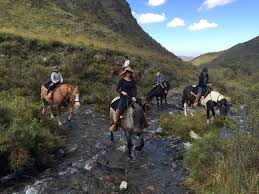 Horseback Riding In Mendoza Day Trip