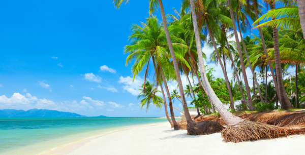 13 Days 12 Nights Treasure of Thailand  Package Tour Image