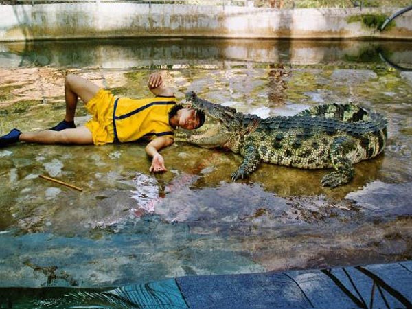 Full Day Damnoensaduak Floating Market-Crocodile-Rose Garden Tour Image