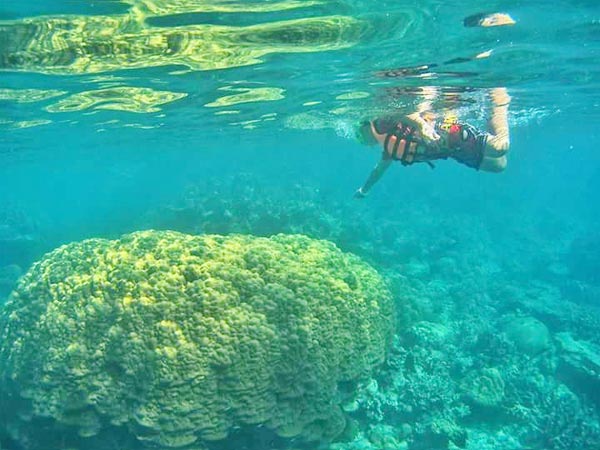 Full Day Coral Islands Snorkelling Tour By Speed Boat Package