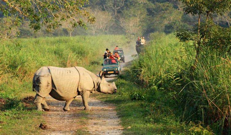 Guwahati - Shillong - Kaziranga Tour