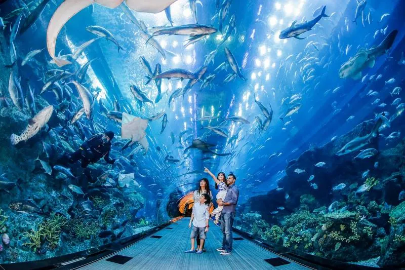 Dubai Aquarium & Underwater Zoo Tour Image