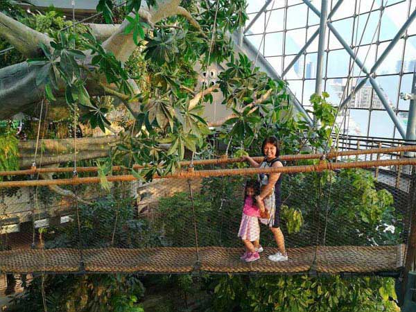 The Green Planet Image