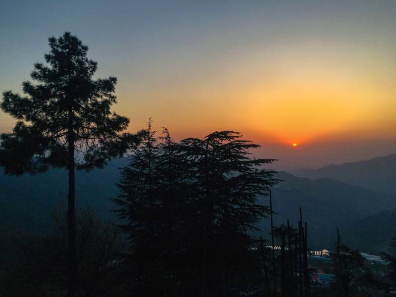 Jungle Livinn Camps And Retreat, Chail Package