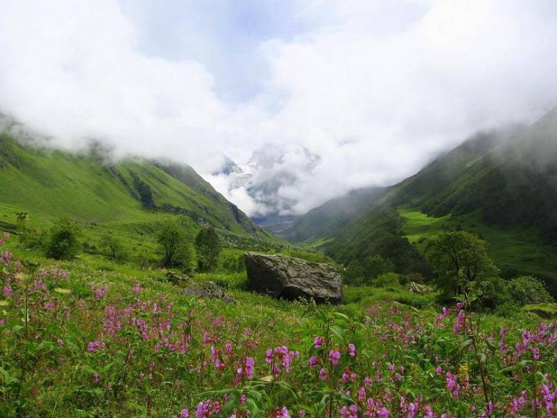 Chardham Yatra Tour Package With Valley Of Flowers Trek