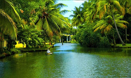 Cochin - Munnar Tour