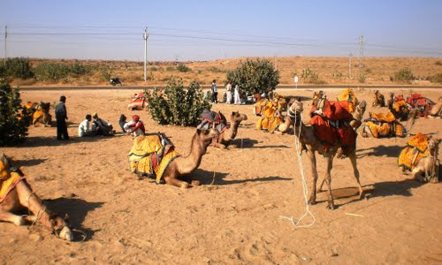 Arabian Night With Dune Bashing Tour