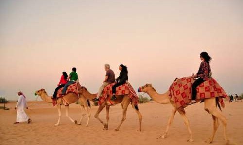 Indian & Dubai Style Safari Tour